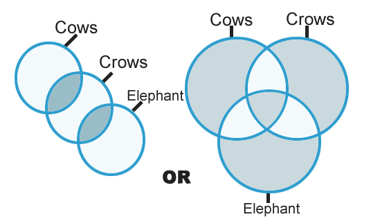 Syllogisms mcq Solutions10